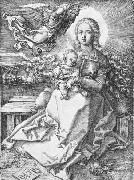 Albrecht Durer Madonna Crowned by an Angel Germany oil painting artist